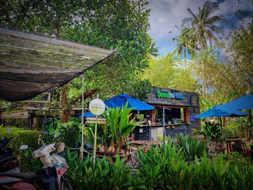 The Willow Phangan 帕干岛 外观 照片