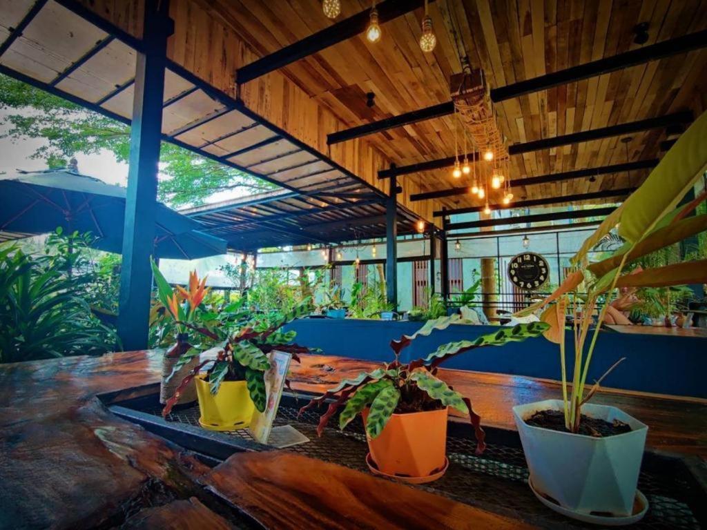 The Willow Phangan 帕干岛 外观 照片