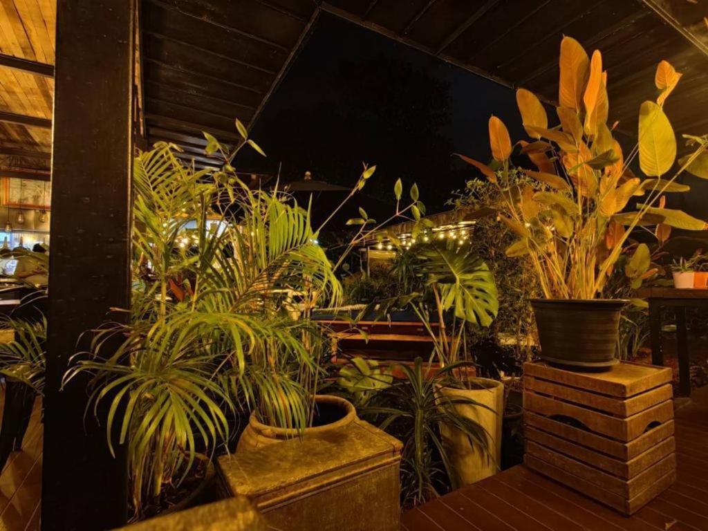 The Willow Phangan 帕干岛 外观 照片